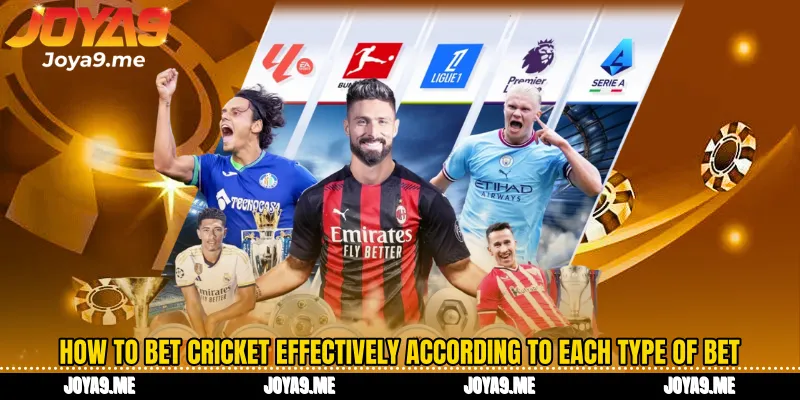 How to bet cricket effectively according to each type of bet
