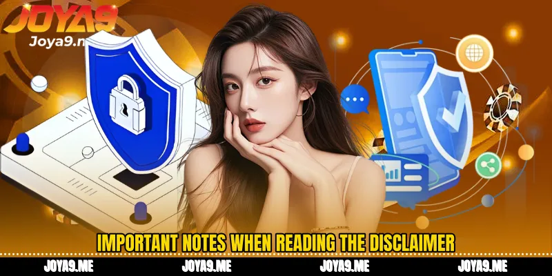 Important notes when reading the Disclaimer