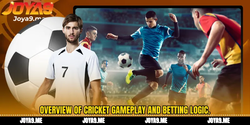 Overview of cricket gameplay and betting logic