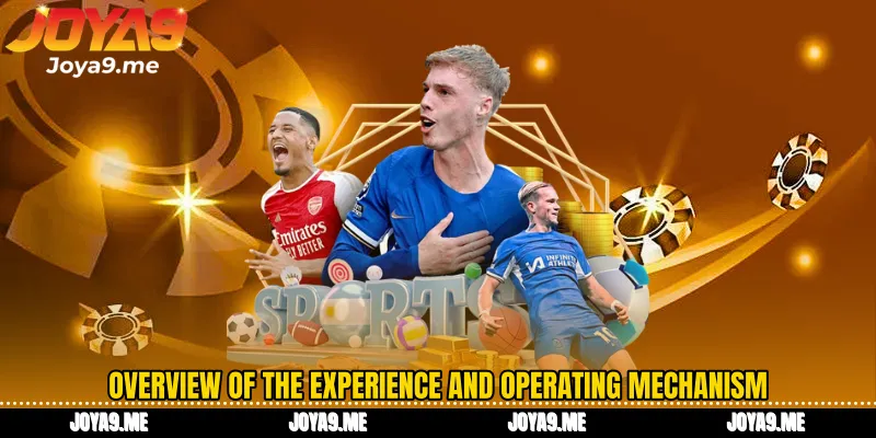 Overview of the experience and operating mechanism