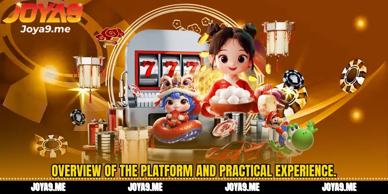 Overview of the platform and practical experience