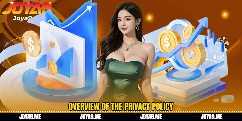 Overview of the privacy policy